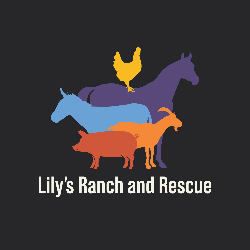 shelter logo
