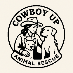 shelter logo