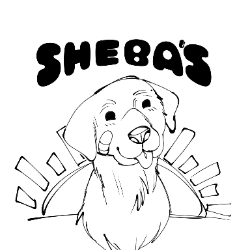 shelter logo