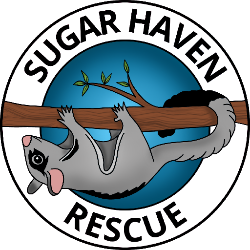 shelter logo
