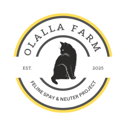 shelter logo