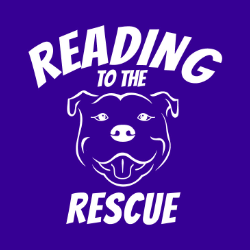 shelter logo