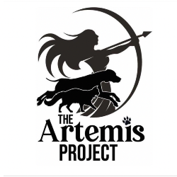 shelter logo