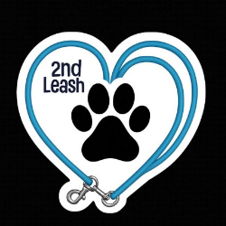 shelter logo