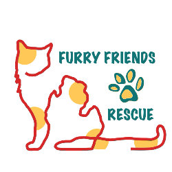 shelter logo