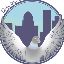 Derby City Pigeon Rescue