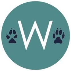 shelter logo