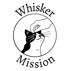 shelter logo
