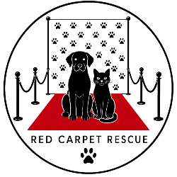 shelter logo
