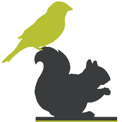 City Wildlife