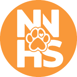 shelter logo