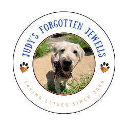 Judy’s Forgotten Jewells