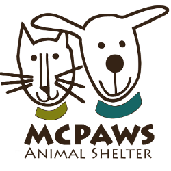 shelter logo