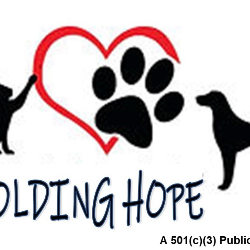 shelter logo