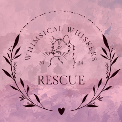 shelter logo