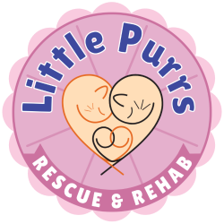 shelter logo