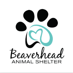 shelter logo