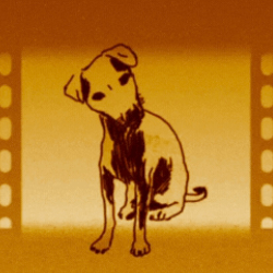 shelter logo