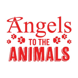 shelter logo