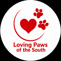 shelter logo