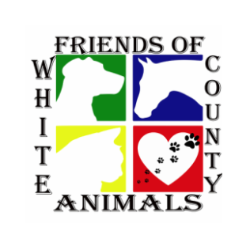 shelter logo