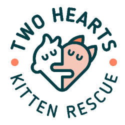shelter logo