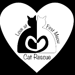 Love At First Meow Cat Rescue
