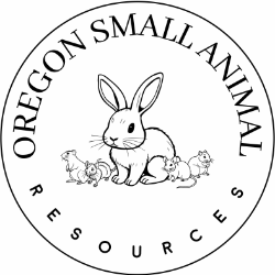 shelter logo