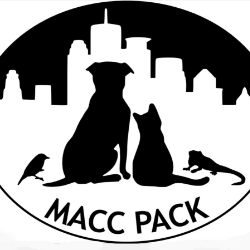 shelter logo