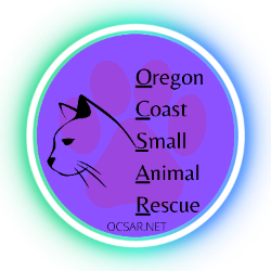shelter logo
