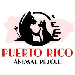 shelter logo