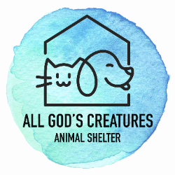 shelter logo