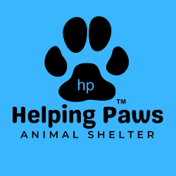 shelter logo