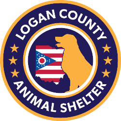 shelter logo