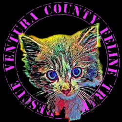 shelter logo