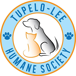shelter logo