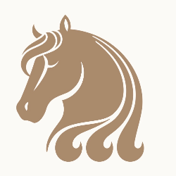 shelter logo