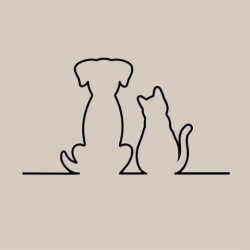 shelter logo
