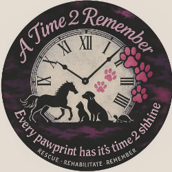 A Time 2 Remember