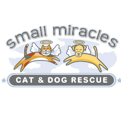 shelter logo