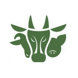 shelter logo