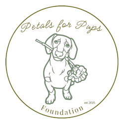 shelter logo