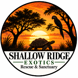 shelter logo