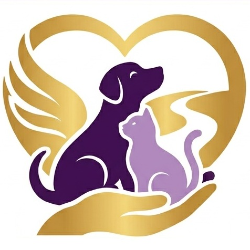 shelter logo