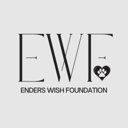 Enders wish foundation