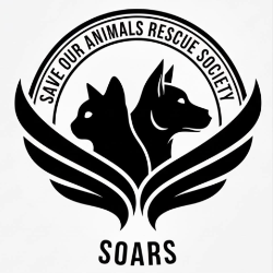 shelter logo