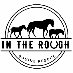 shelter logo