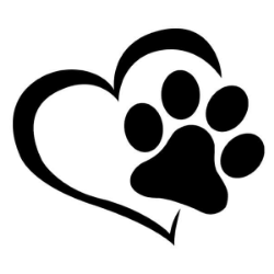shelter logo