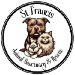 shelter logo