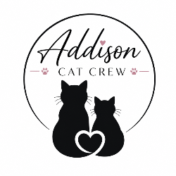 shelter logo